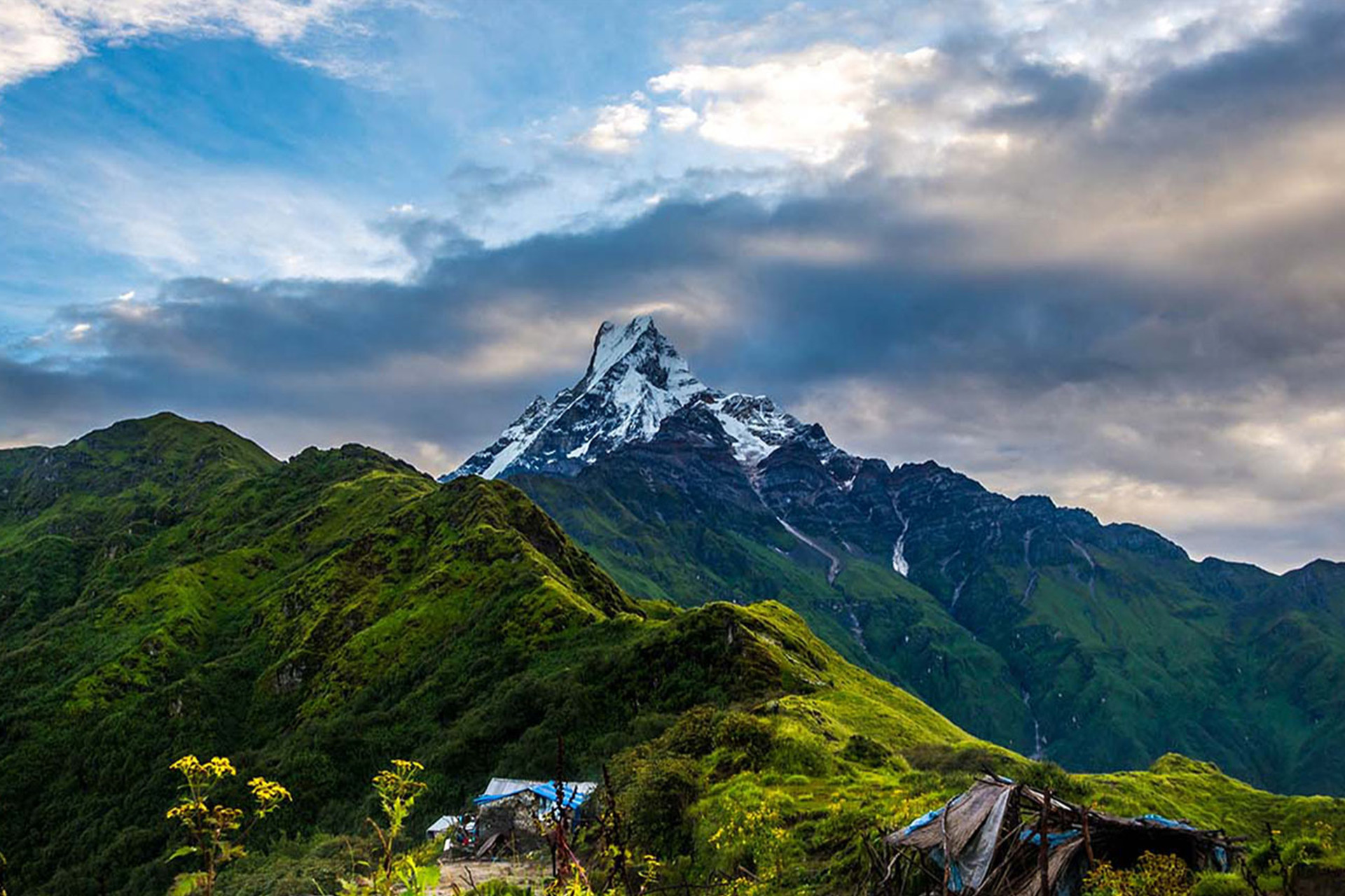 Mardi Himal Trek